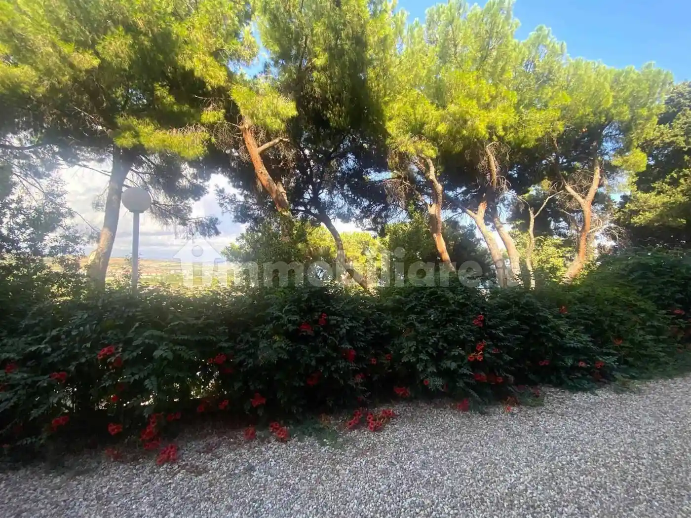 Monolocale ottimo stato, Stalettì - foto 3