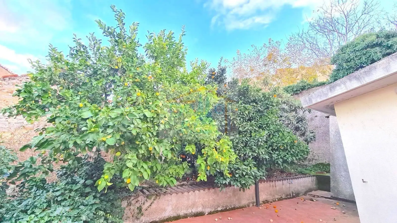 Appartamento ottimo stato, su più livelli, Centro, Bitti - foto 5