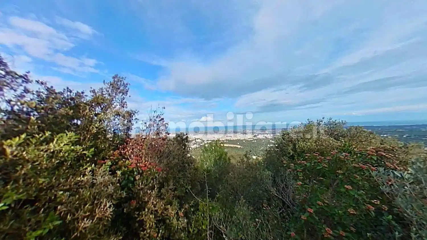 Rustico - Casale in vendita a Fasano