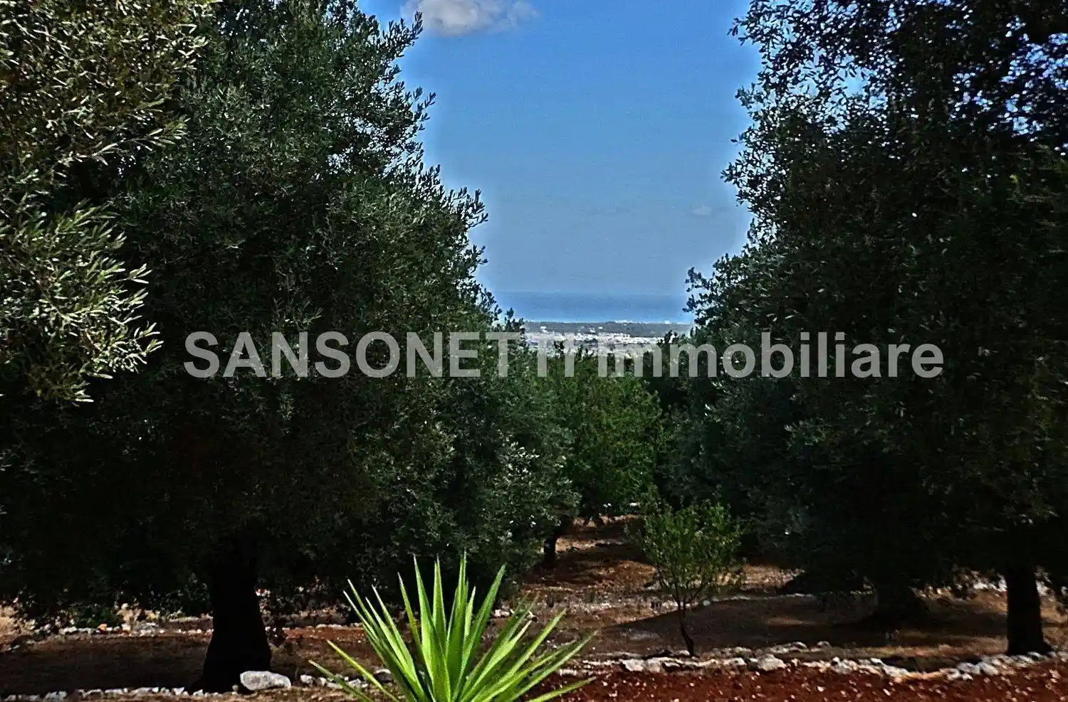 Rustico - Casale in vendita a Fasano