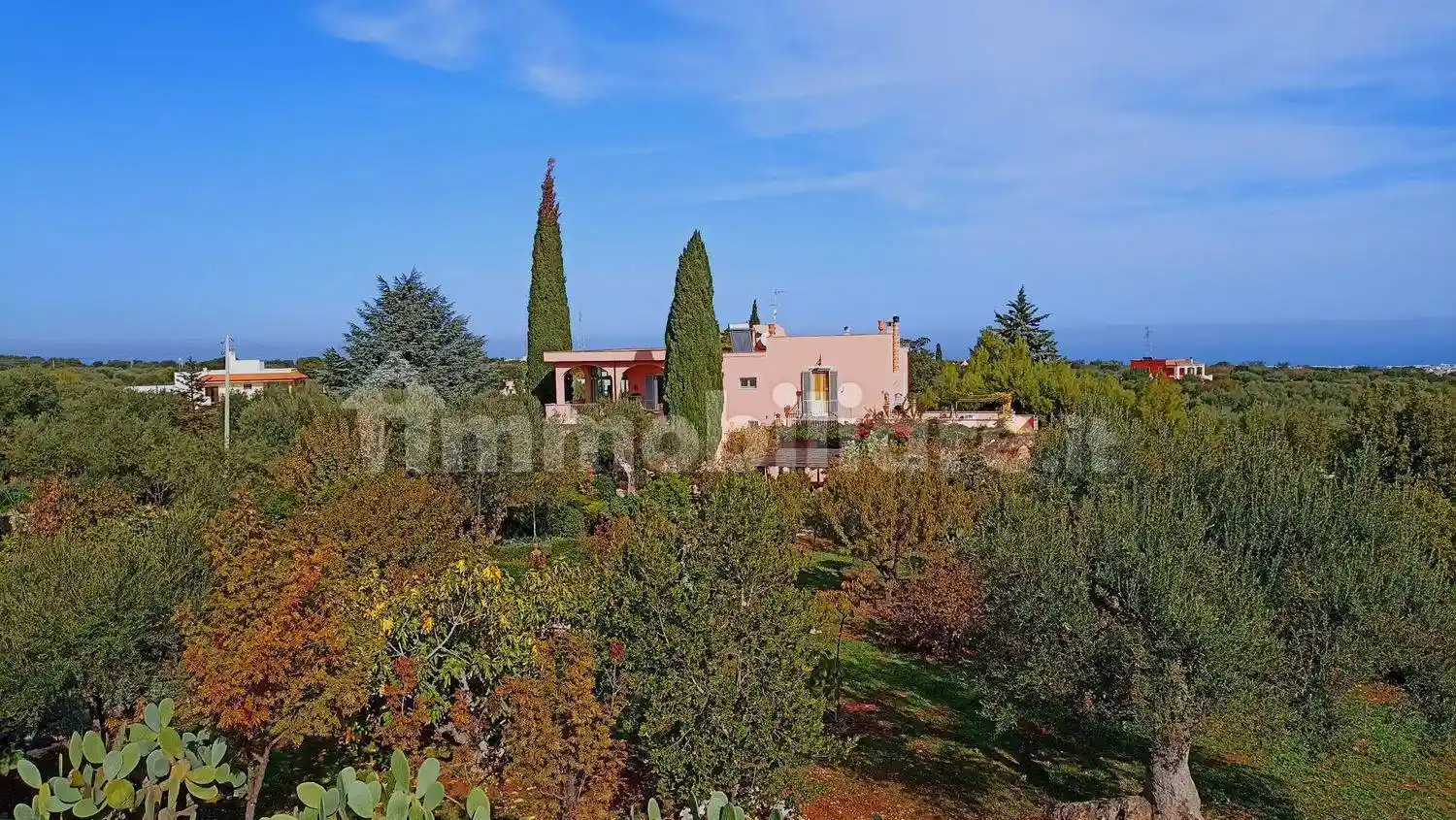 Appartamento in vendita a Monopoli