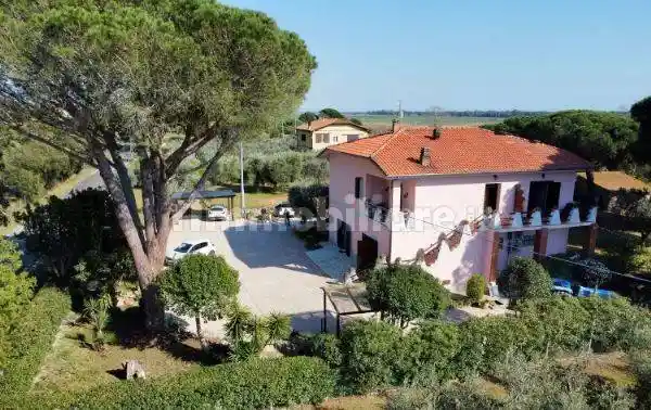 Appartamento in affitto a Capalbio