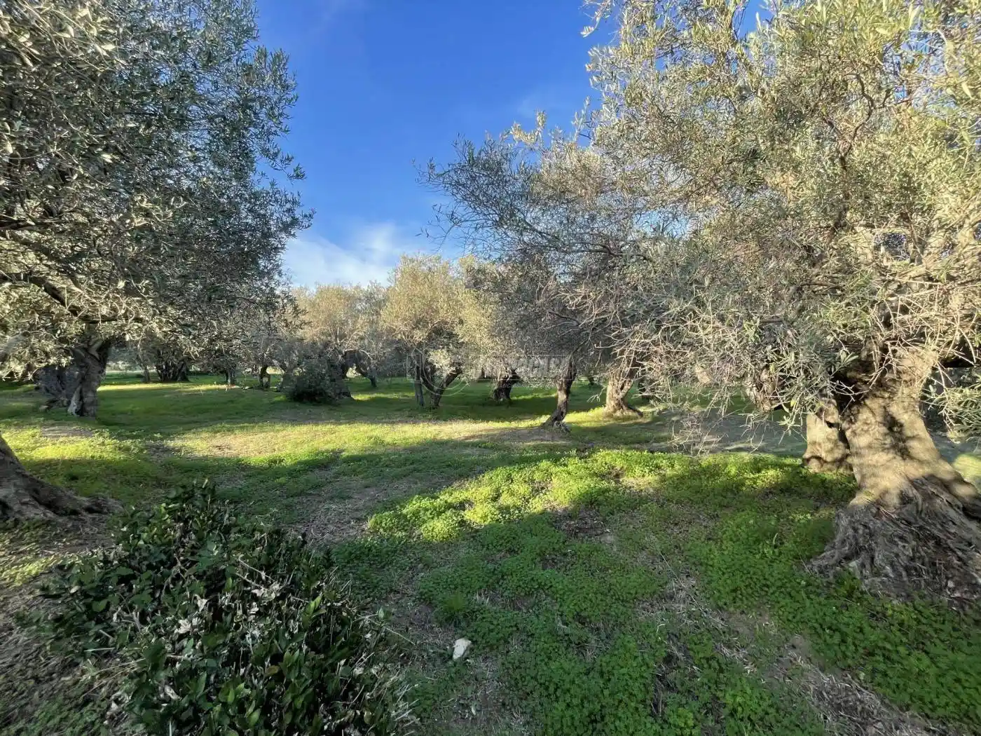 Rustico - Casale in vendita a Messina