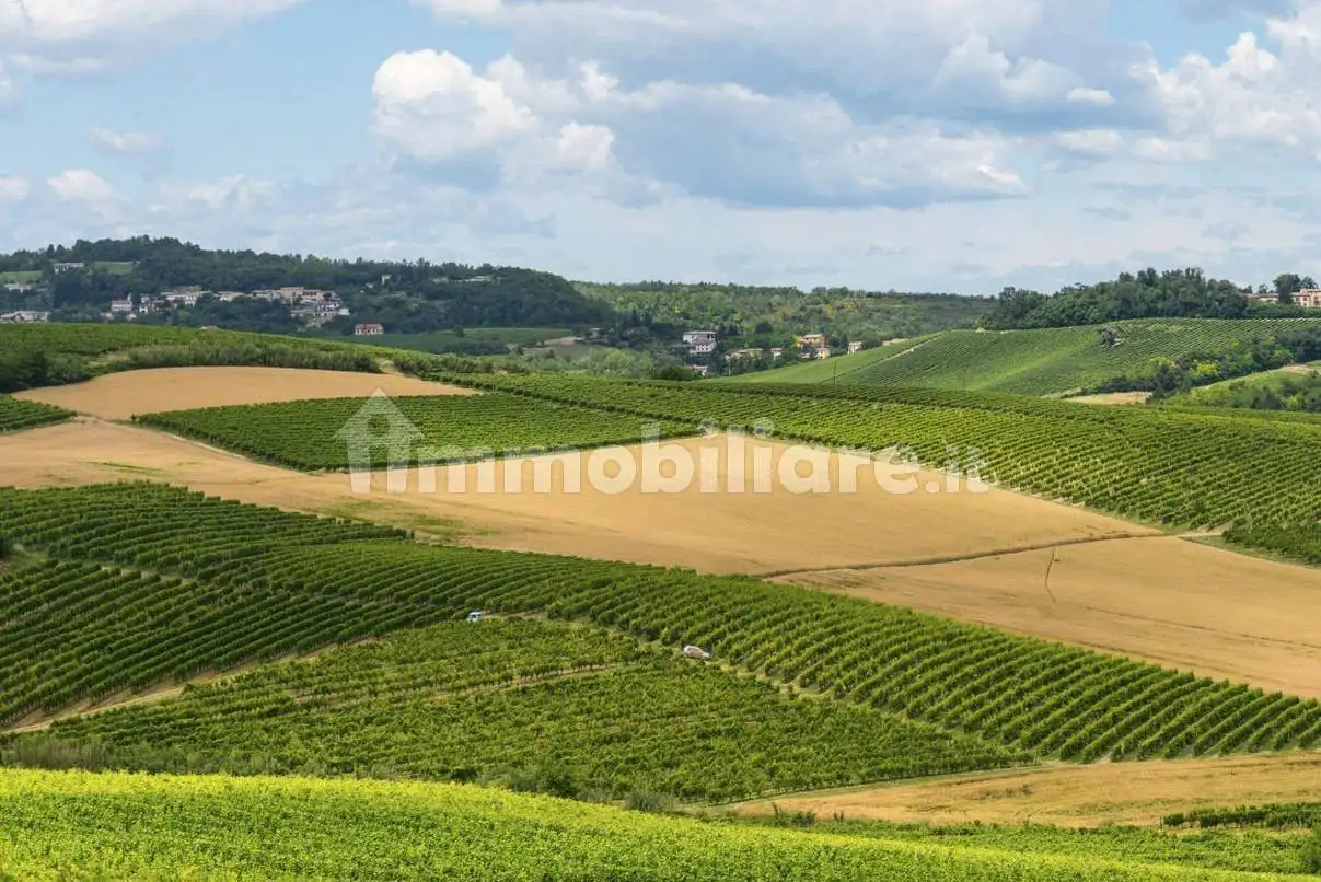 Rustico via Cavour 9, Centro, Cortiglione - foto 4