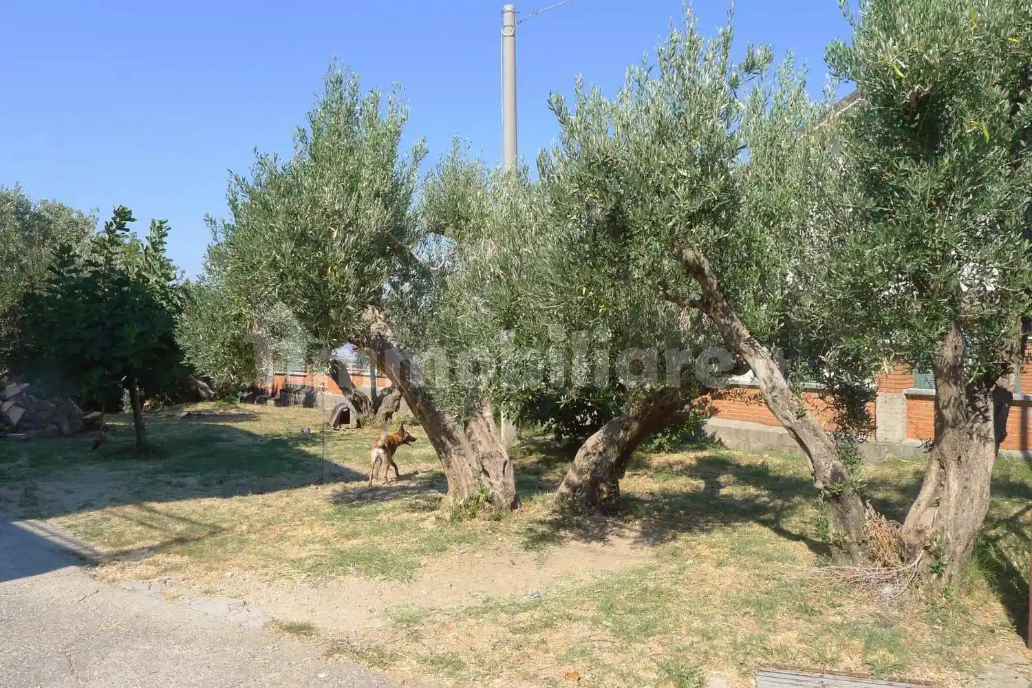 Appartamento A. Gramsci, 28, San Vincenzo la Costa - foto 5