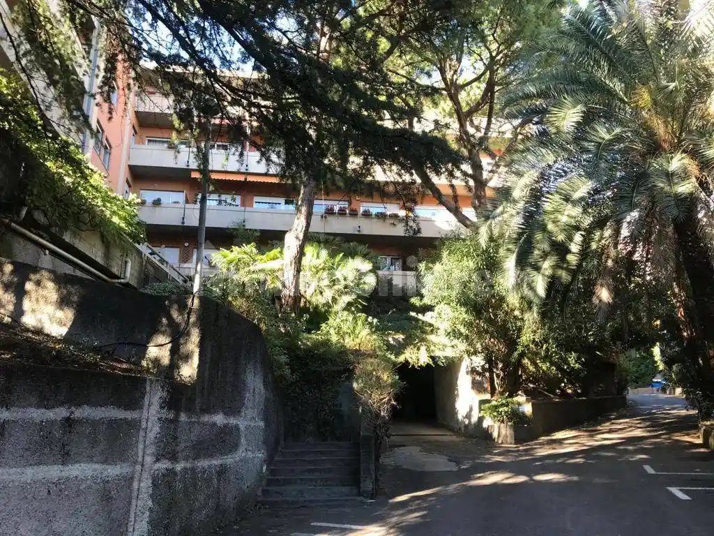 Appartamento in affitto a Genova