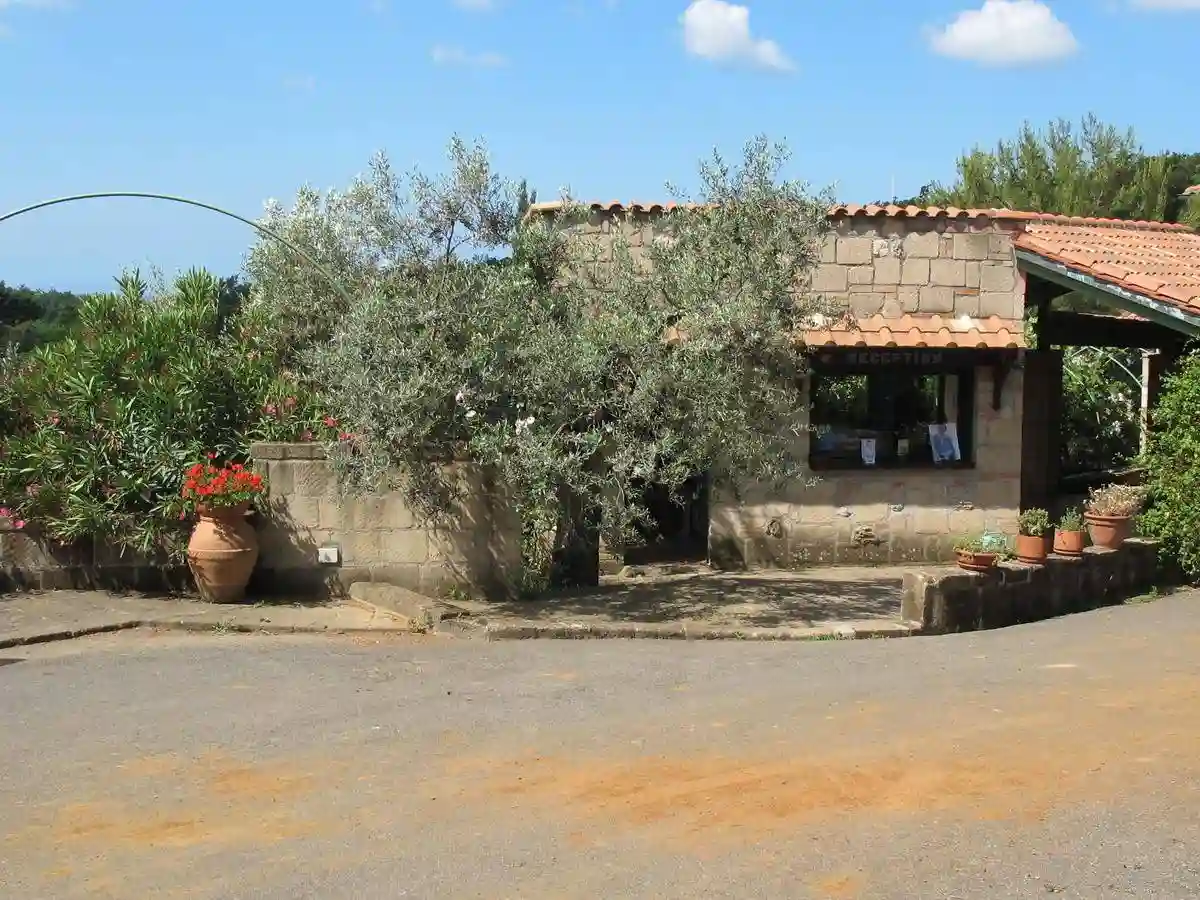 Palazzo - Edificio - foto 5