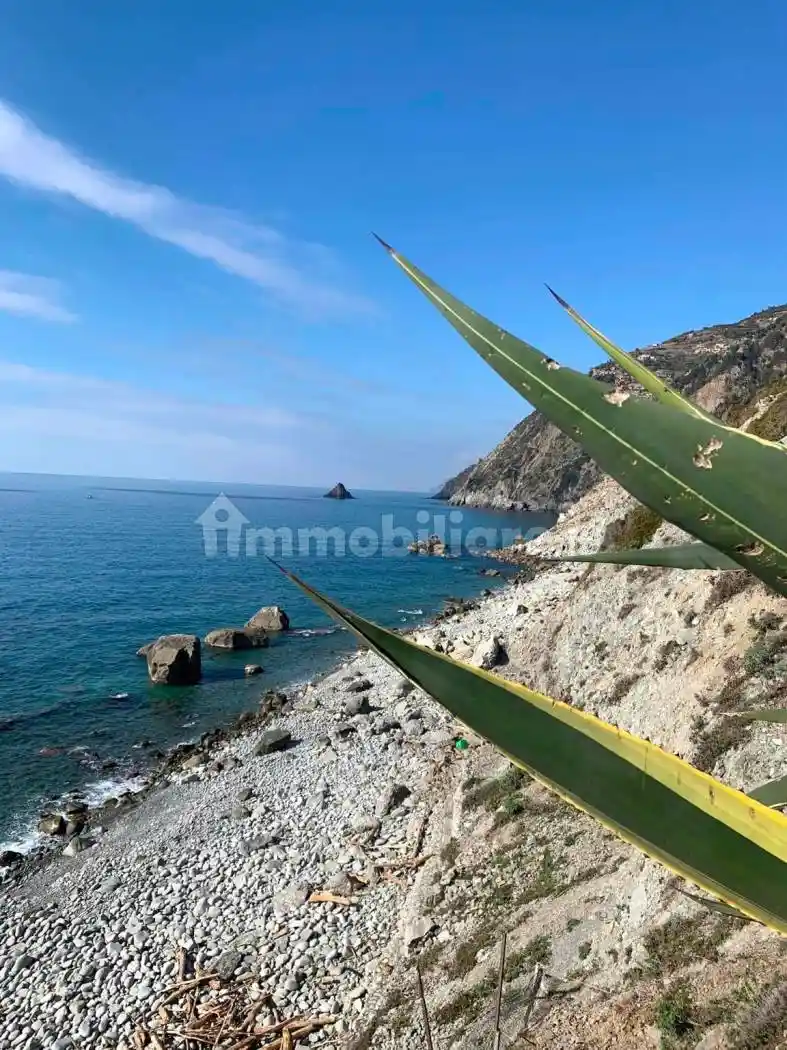 Rustico Casotti, Biassa, La Spezia - foto 5