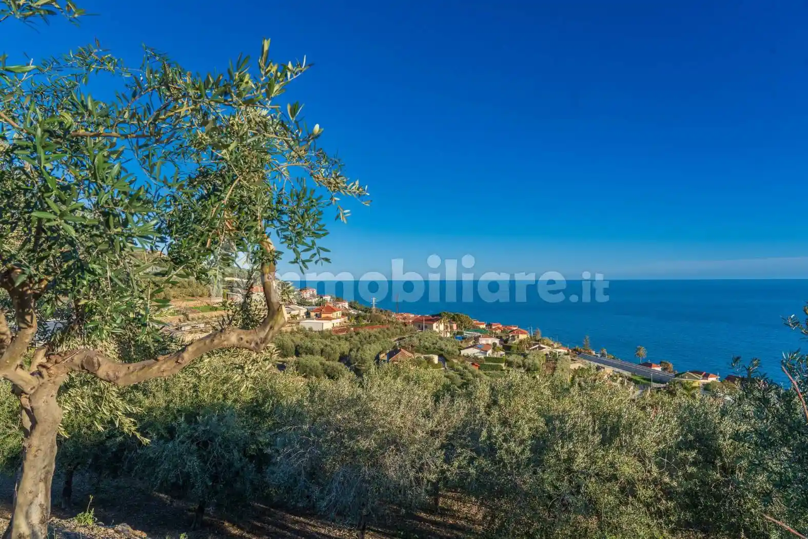 Villa in vendita a Cipressa