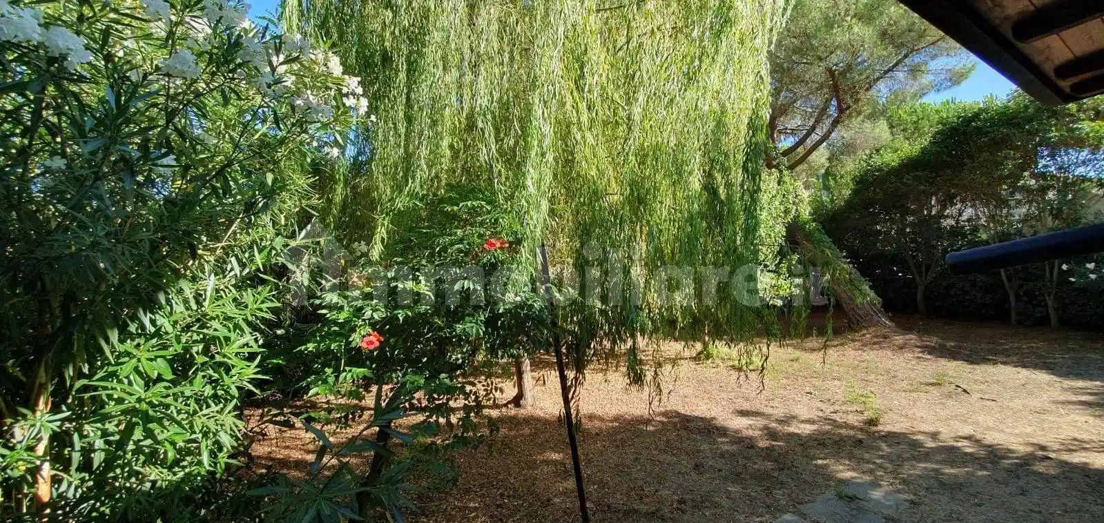 Trilocale via Lago di Misurina 2, Cassarello, Senzuno, Salciaina, Follonica - foto 3