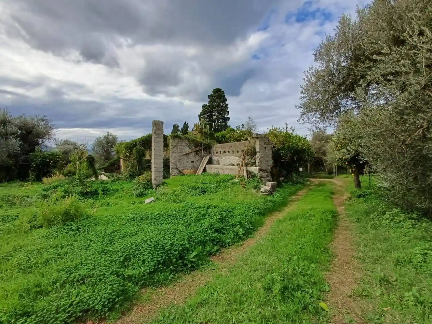 Rustico - Casale in vendita a Capo d'Orlando