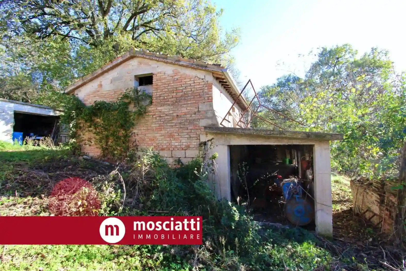 Rustico - Casale - foto 4