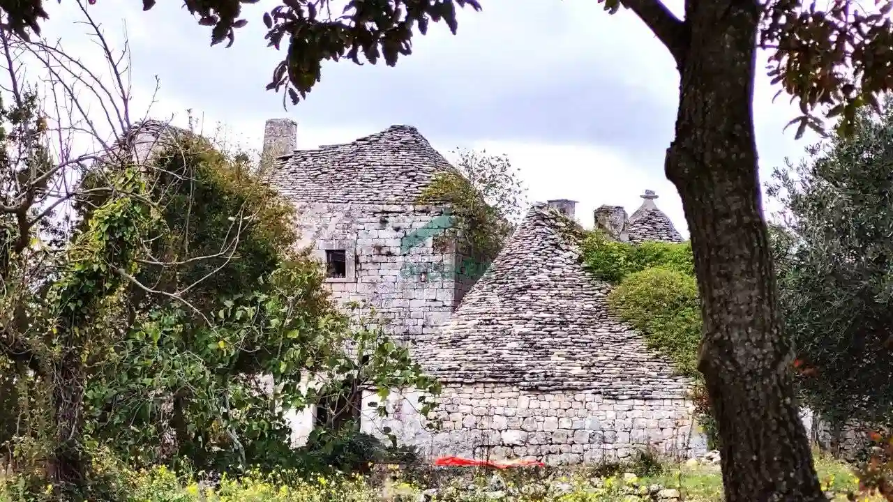 Rustico - Casale - foto 5