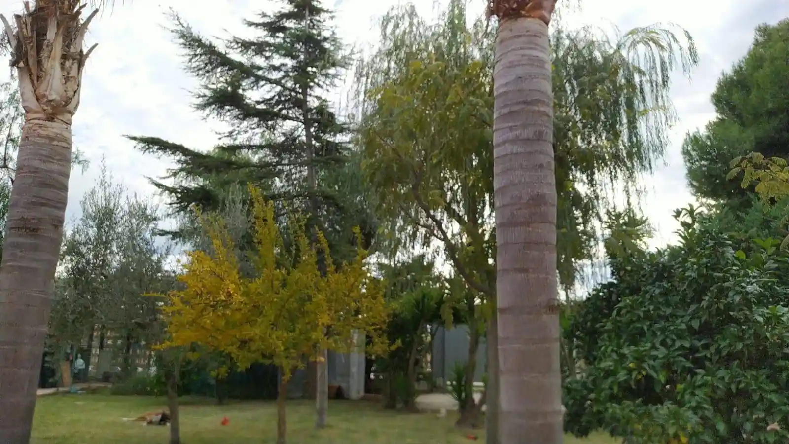 Villa in vendita a Margherita di Savoia