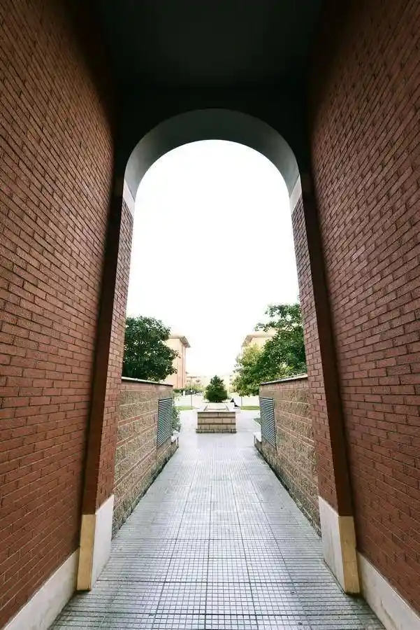 Trilocale via Massimo Severo Giannini 23, Romanina, Roma - foto 4