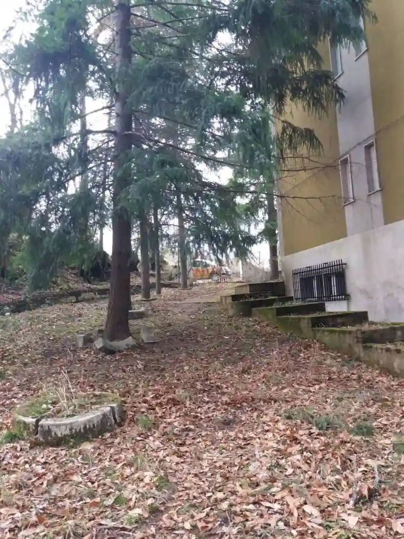 Palazzo - Edificio - foto 4