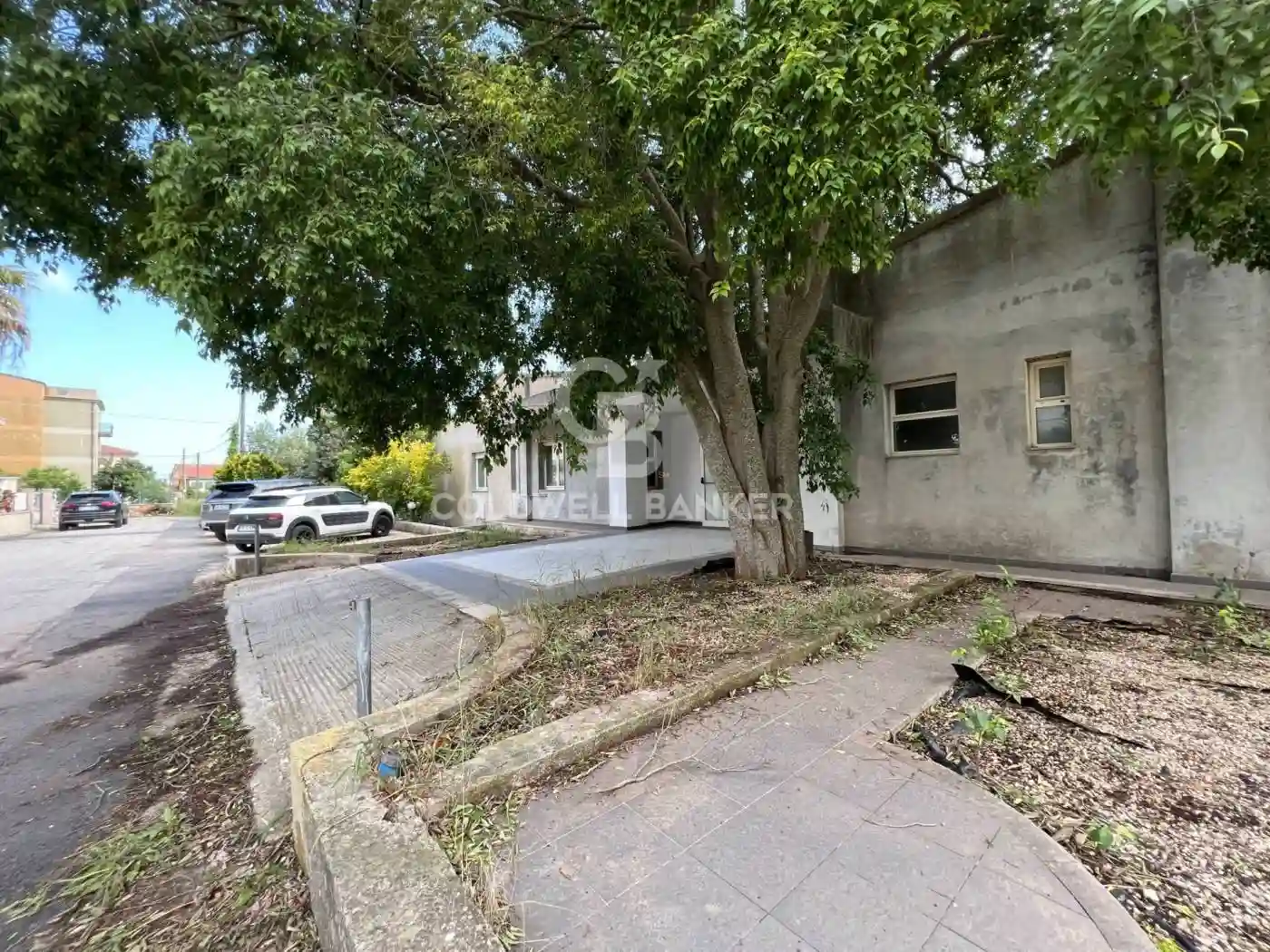 Palazzo - Edificio - foto 2