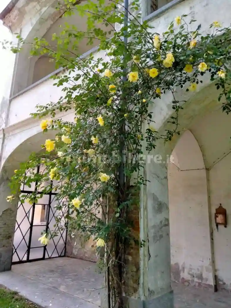 Palazzo - Edificio - foto 4