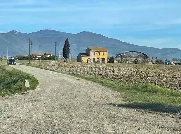Appartamento in affitto a Cascina