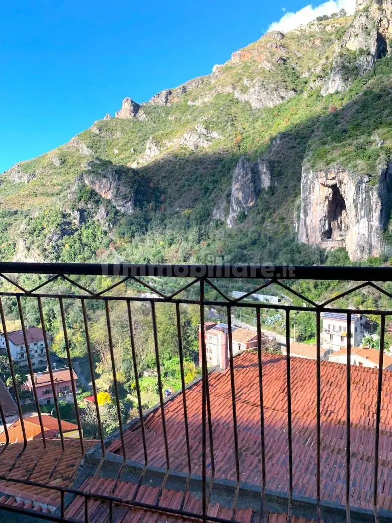 Appartamento in vendita a Orsomarso