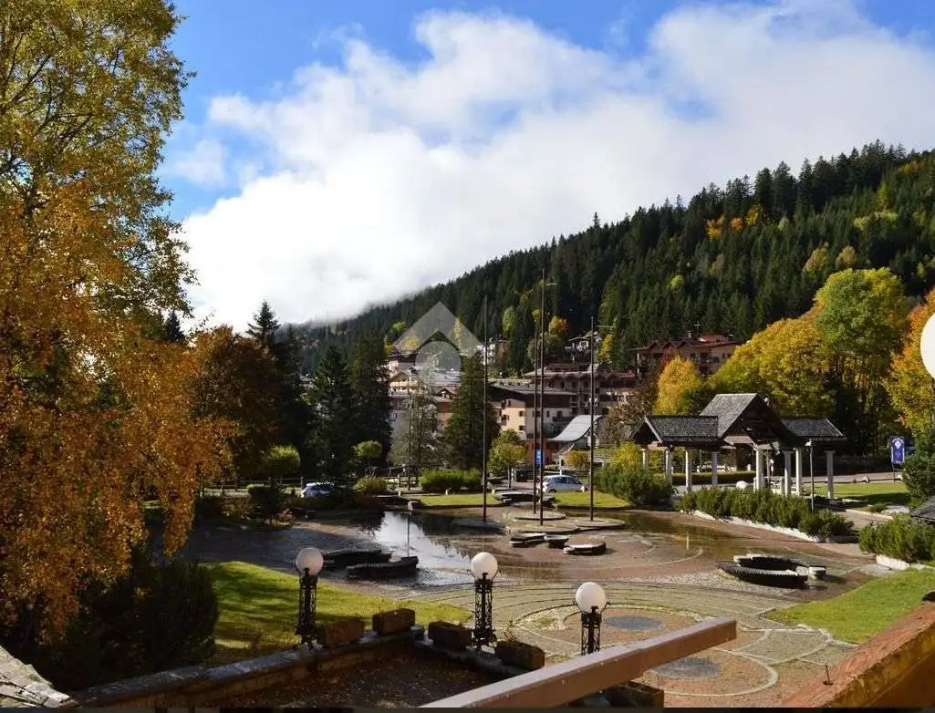 Appartamento in affitto a Pinzolo