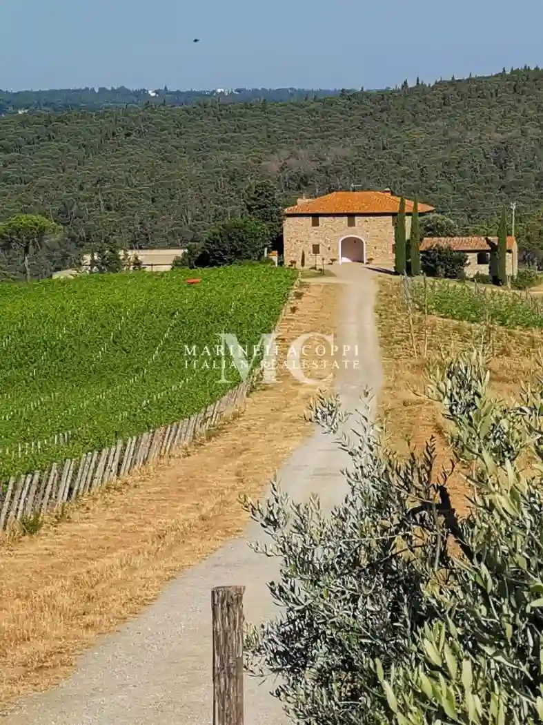 Rustico - Casale - foto 3