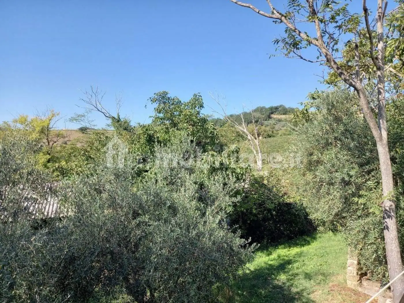 Rustico - Casale in vendita a Castrocaro Terme e Terra del Sole