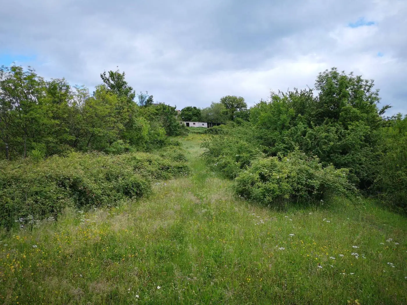 Rustico Strada Provinciale Turanese, Belmonte in Sabina - foto 5