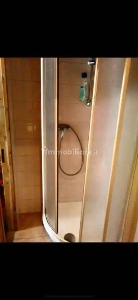 Rustico - Casale in vendita a Albareto