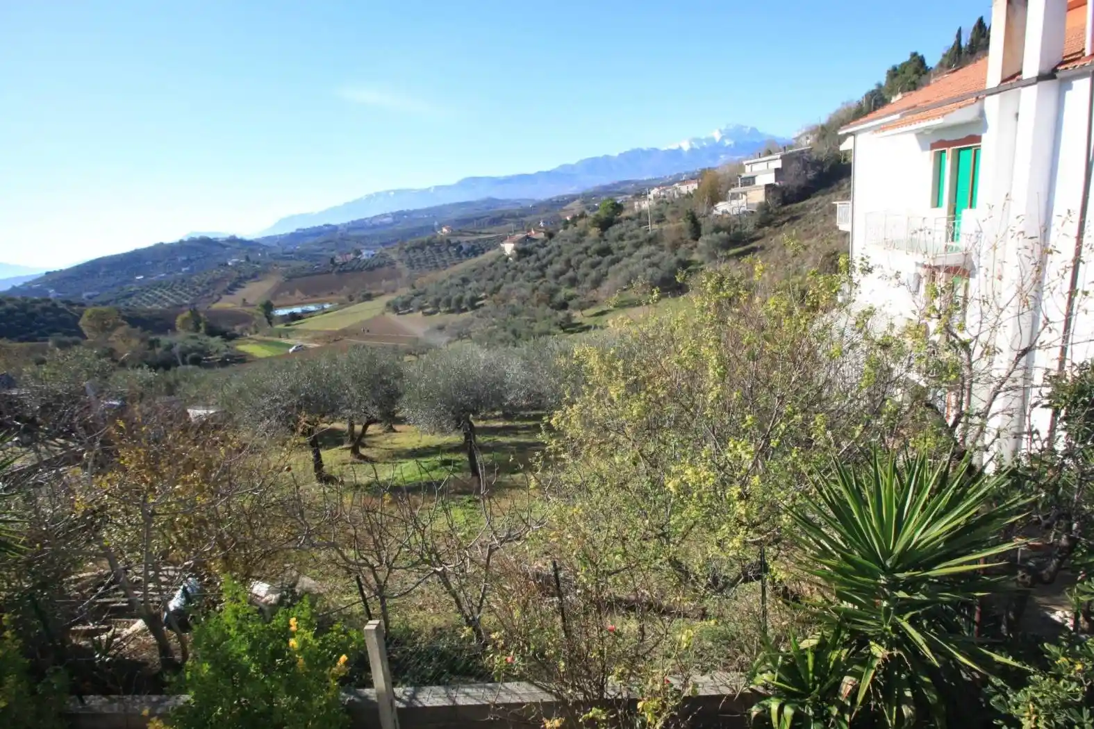 Villa unifamiliare viale dei Pini 28, Centro, Collecorvino - foto 4