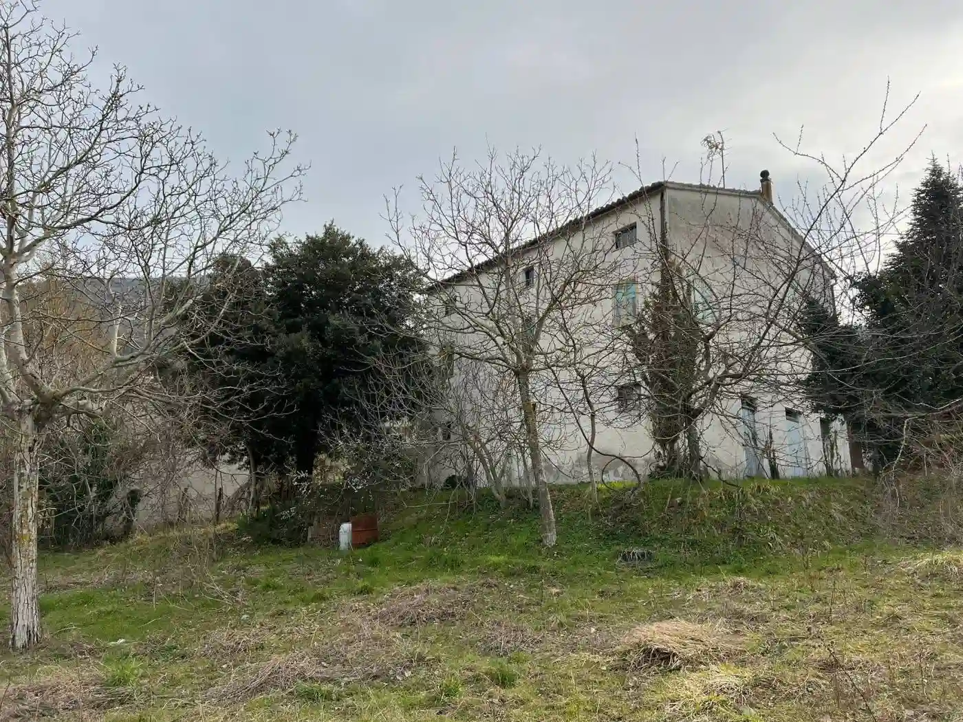 Palazzo - Edificio - foto 2