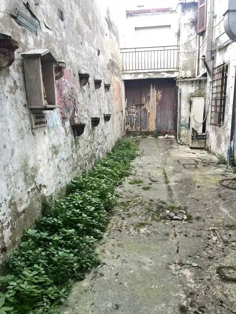 Palazzo - Edificio - foto 3