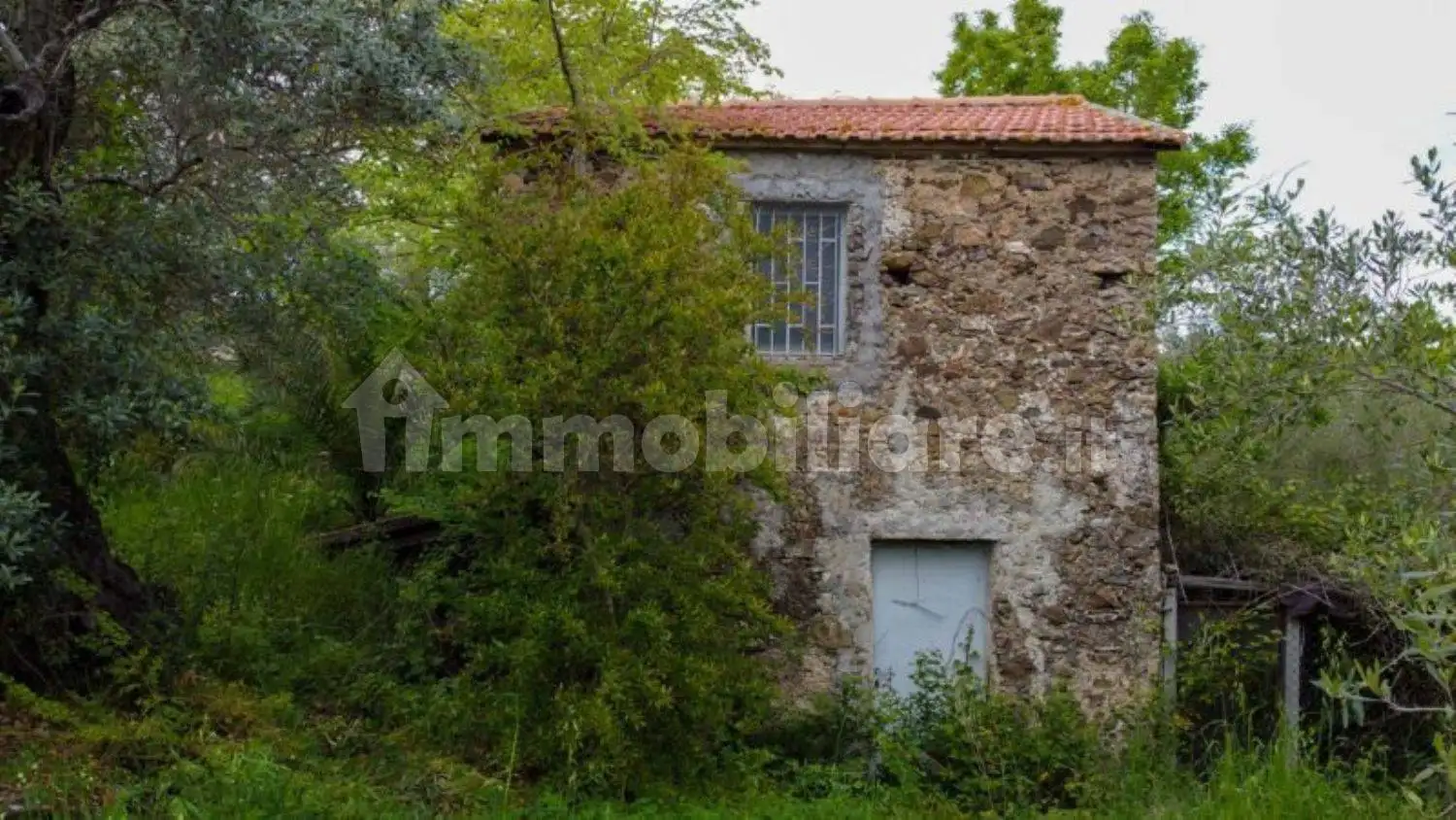 Rustico - Casale in vendita a Casal Velino