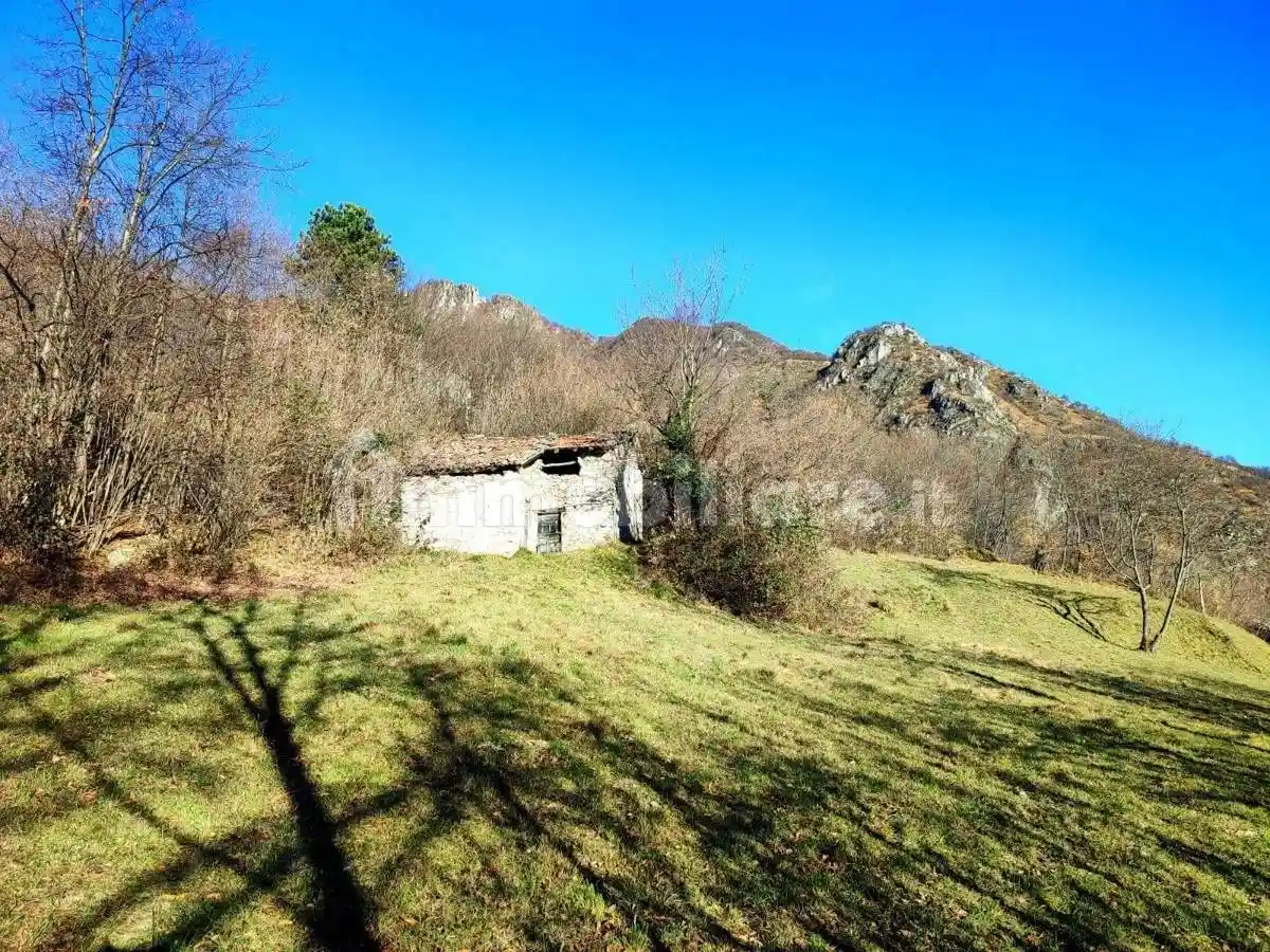 Rustico via Alla Pineta , 46, Corrido - foto 3