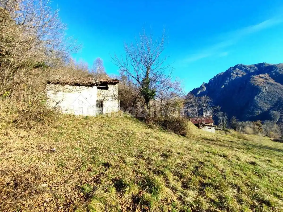 Rustico via Alla Pineta , 46, Corrido - foto 4