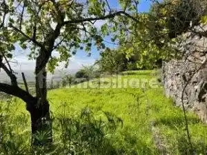 Appartamento in vendita a Macomer