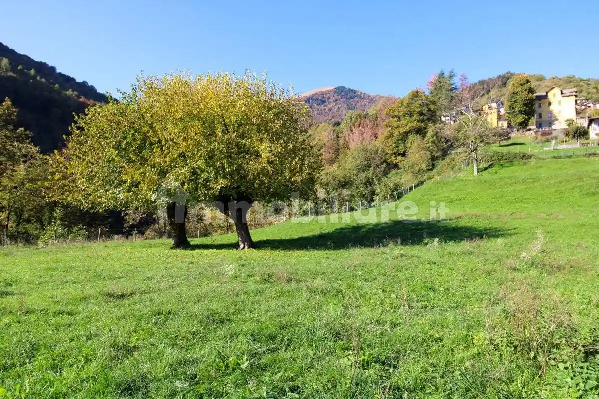 Rustico via Dizzasco , snc, Cerano d'Intelvi - foto 4