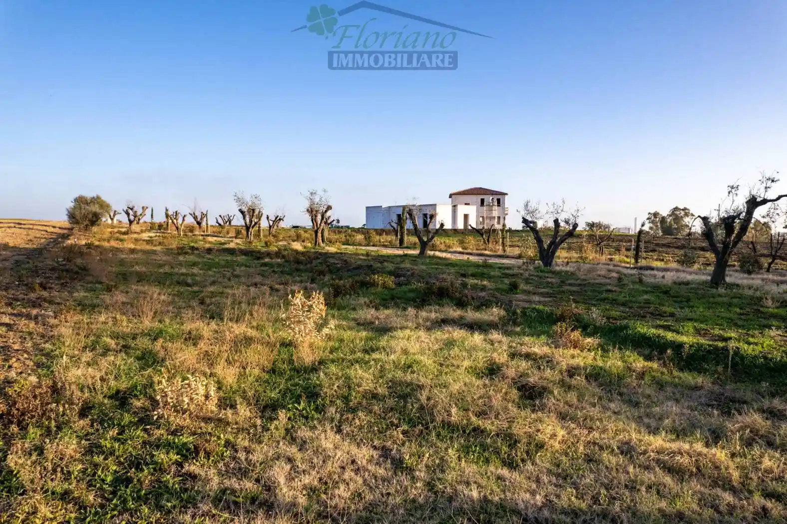 Rustico - Casale in vendita a Montalto di Castro