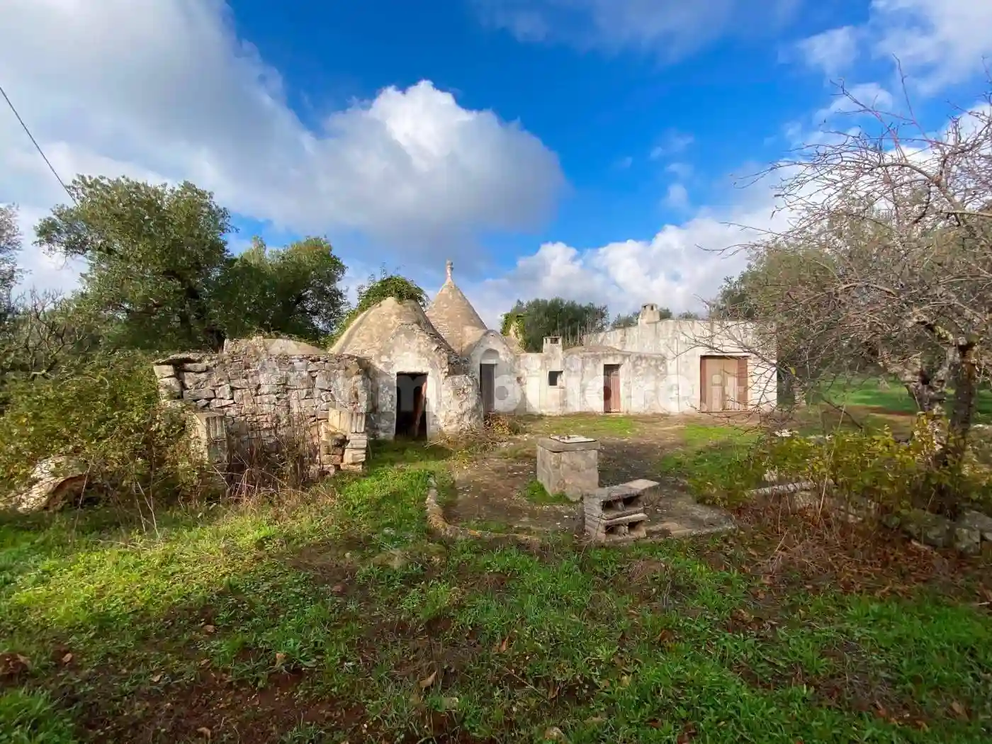 Rustico - Casale - foto 5