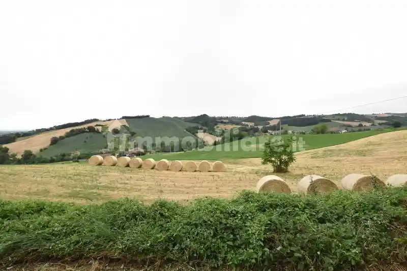 Rustico - Casale in vendita a Felino