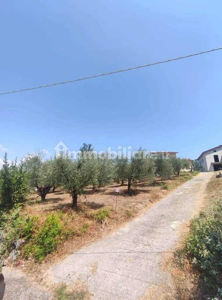 Casa indipendente in vendita a Rotonda