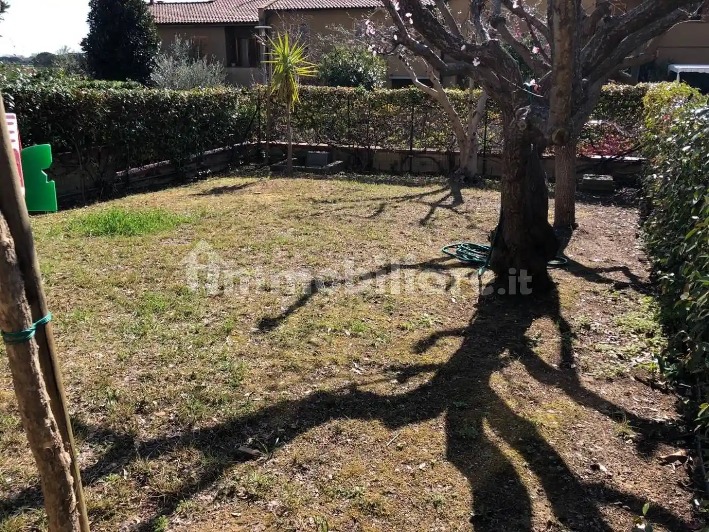 Villetta a schiera in affitto a Calci