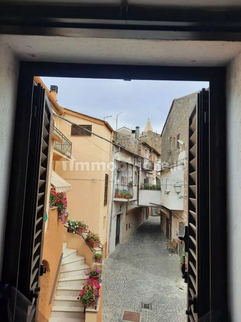 Appartamento via Benedetto Cairoli 48, Centro, Cellere - foto 2