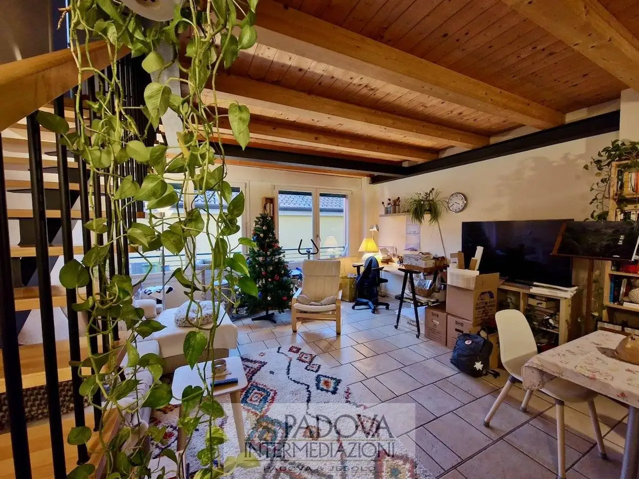 Appartamento in affitto a Padova