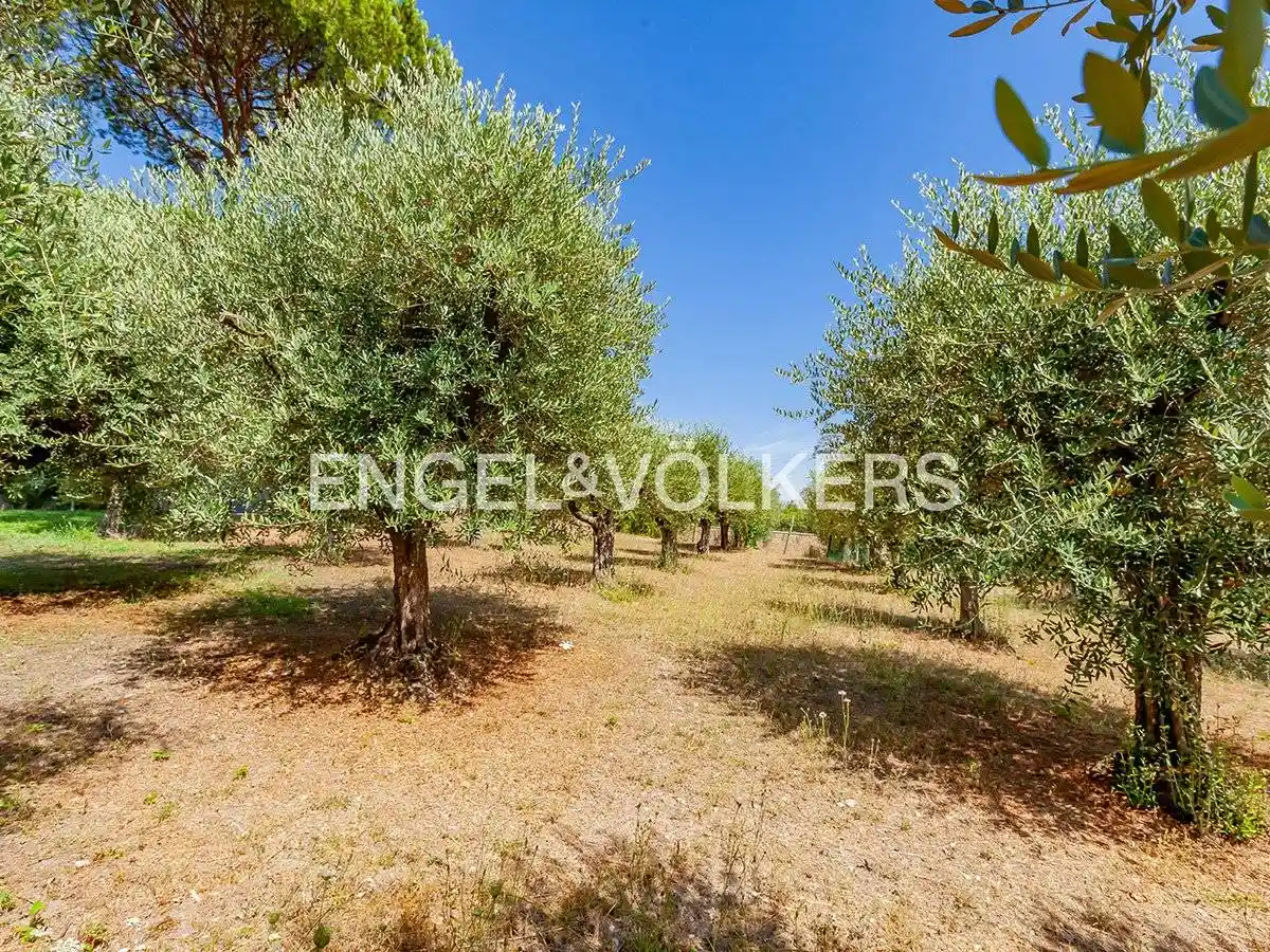 Villa unifamiliare via Clara Francia Chauvet, Castel di Guido, Roma - foto 3