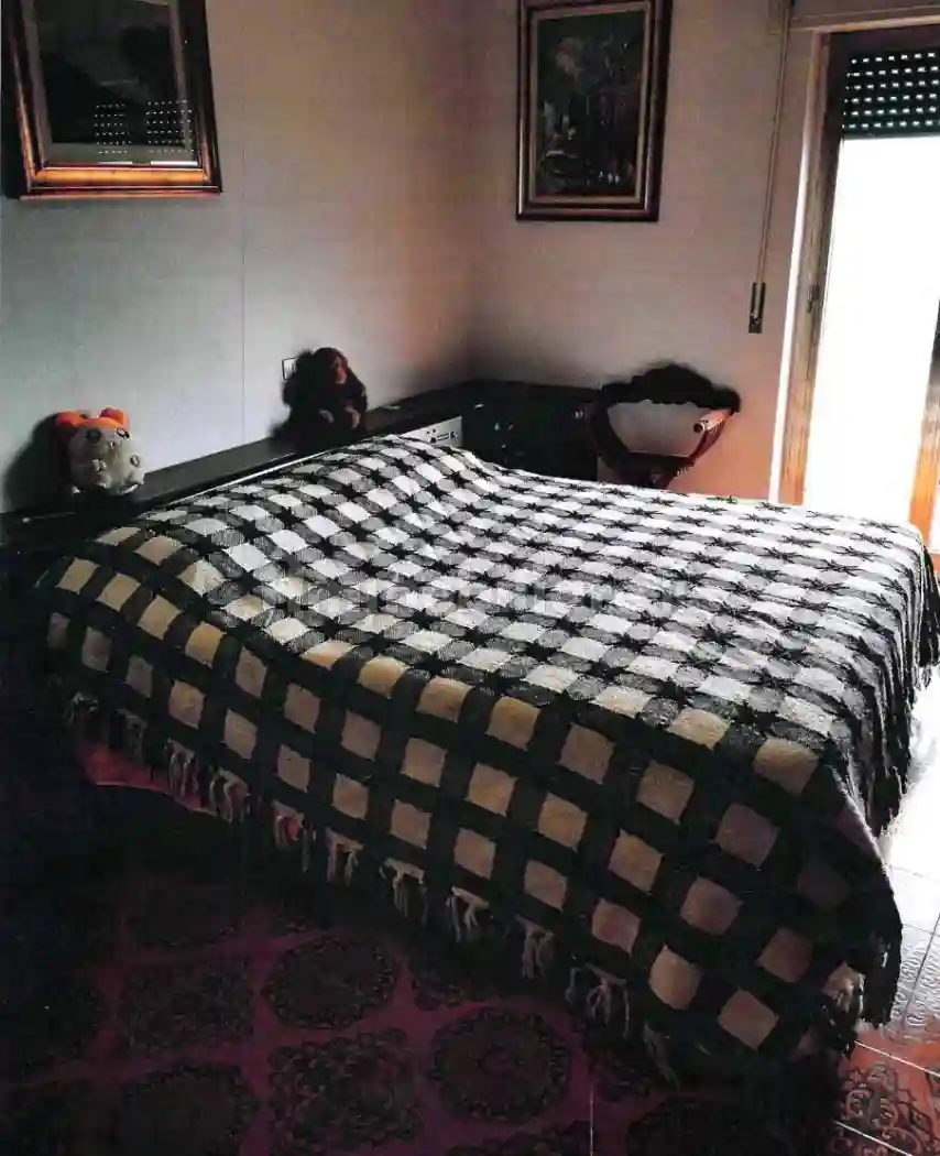 Appartamento viale Regina Margherita 61, Centro, Cercemaggiore - foto 4