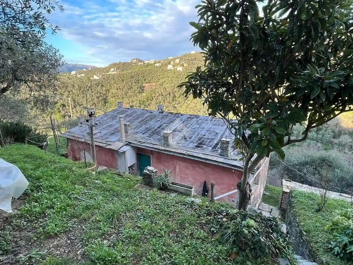 Rustico - Casale - foto 3