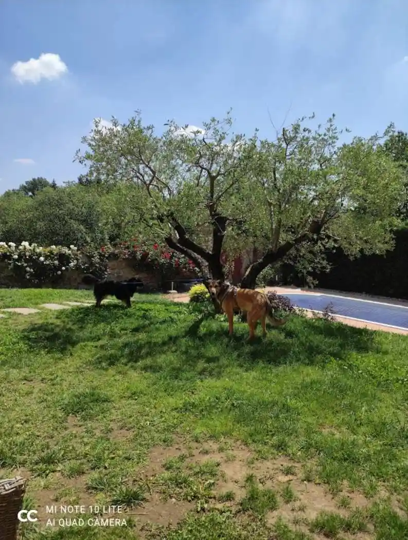 Villa in vendita a Gornate-Olona