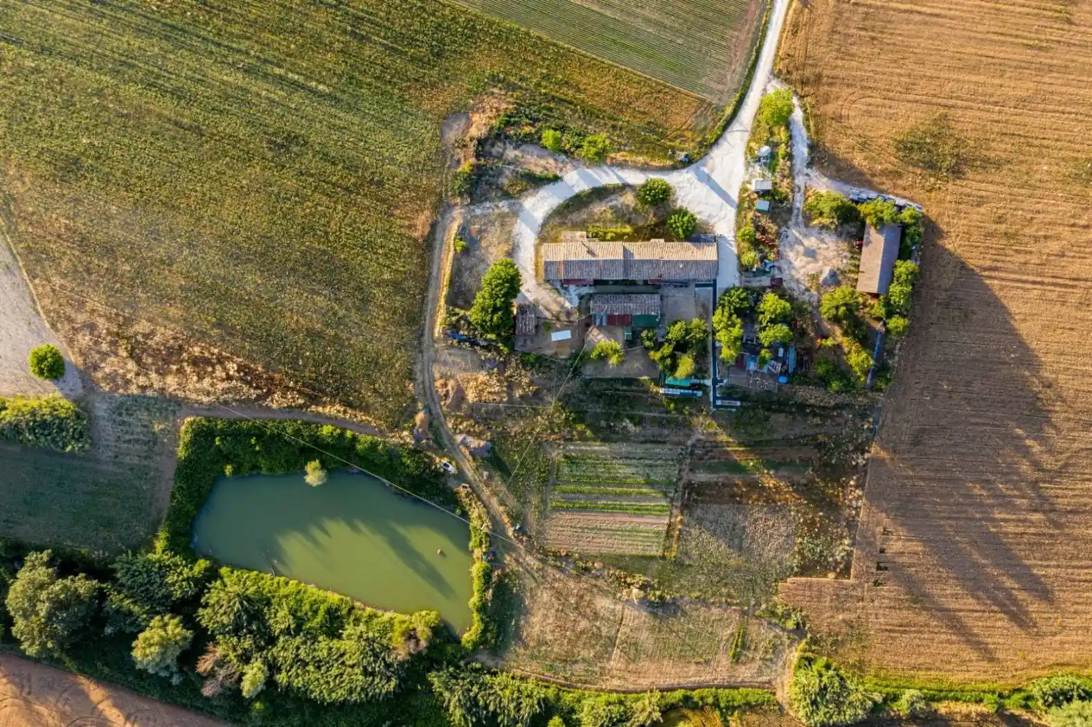Rustico - Casale in vendita a Monsano