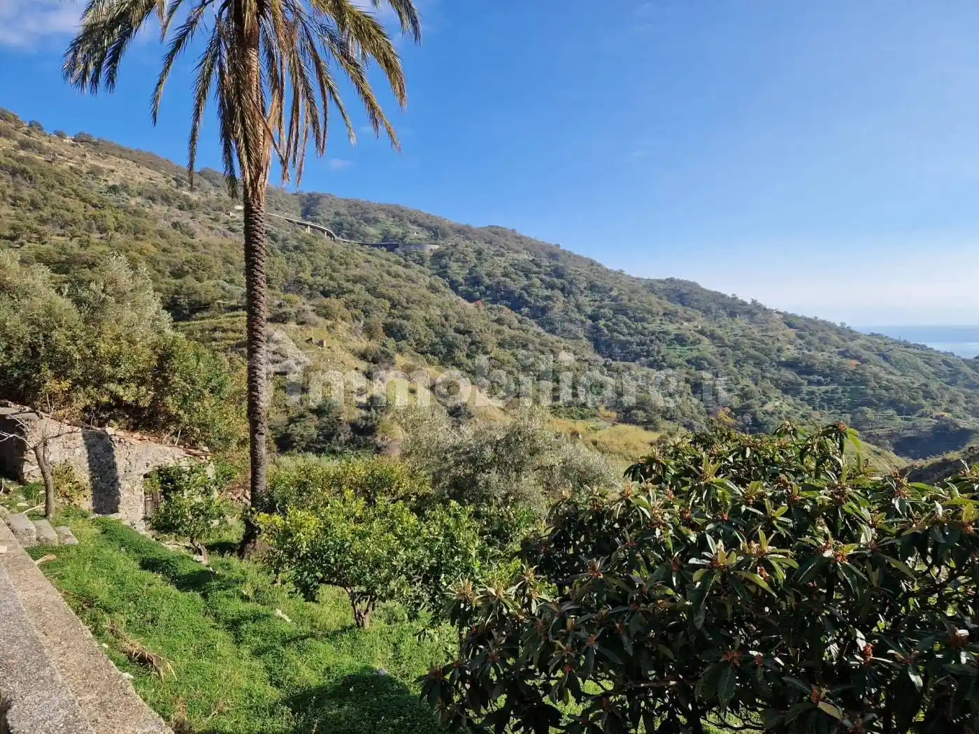 Rustico - Casale in vendita a Gallodoro